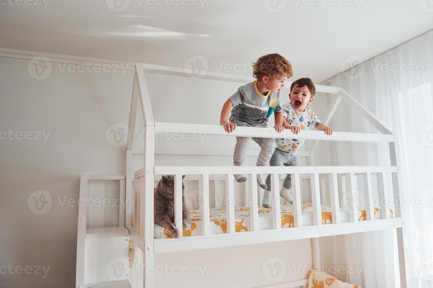 Two little boys resting and have fun indoors in the bedroom together. Cat sitting near them photo