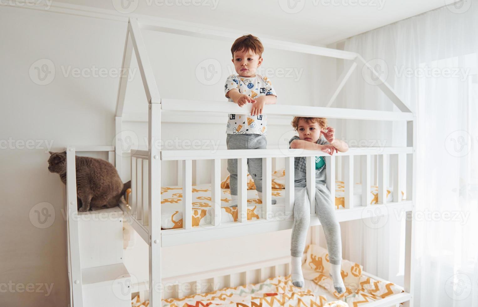 Two little boys resting and have fun indoors in the bedroom together. Cat lying down photo