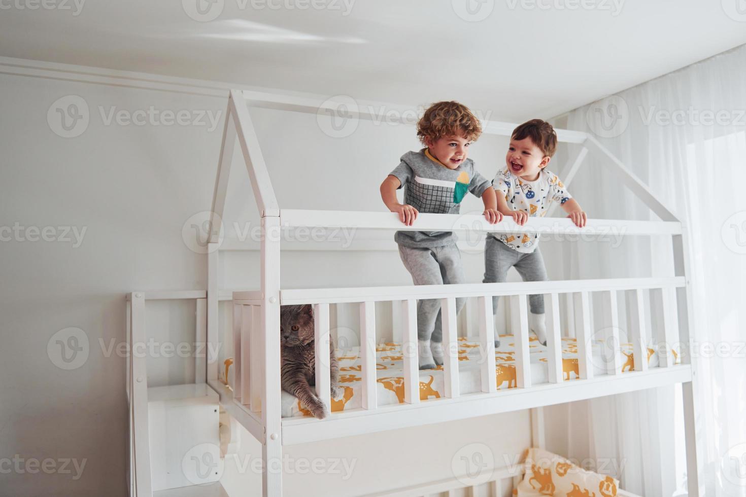 Two little boys resting and have fun indoors in the bedroom together. Cat sitting near them photo