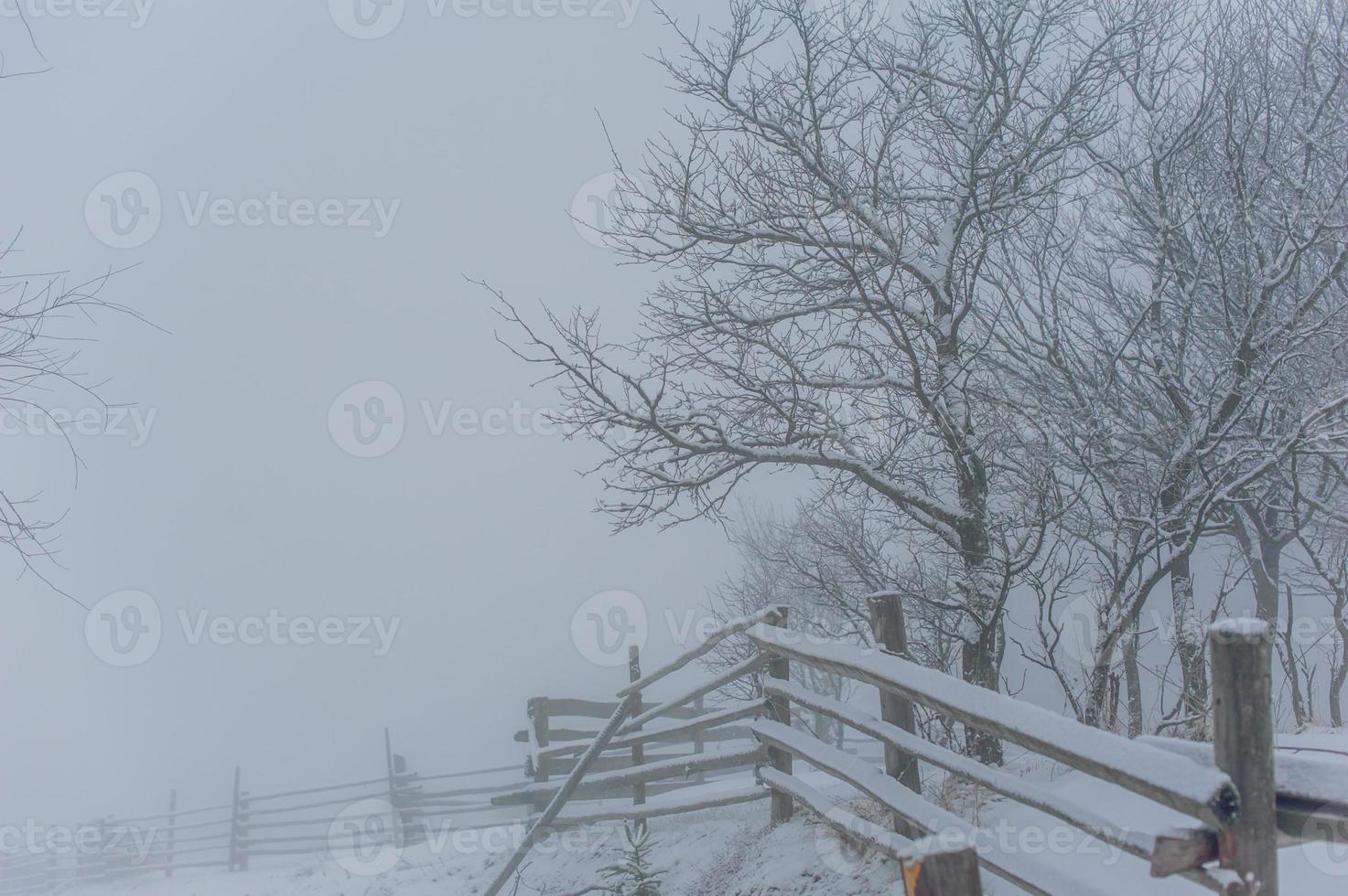 Winter landscape in mountains photo