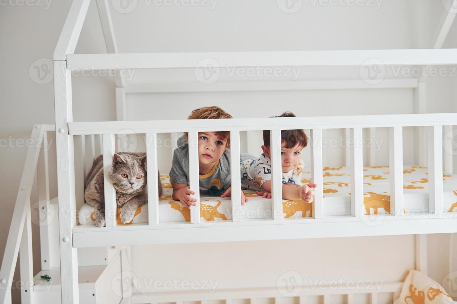 dos niños pequeños descansan y se divierten juntos en el interior del dormitorio. gato sentado cerca de ellos foto