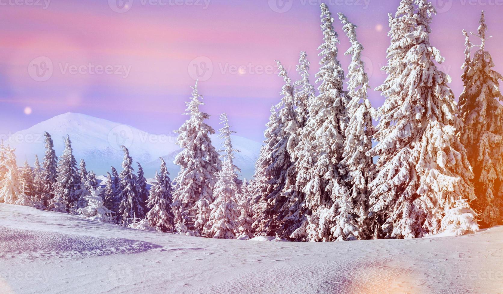 Majestic landscape with forest at winter time. Scenery background photo