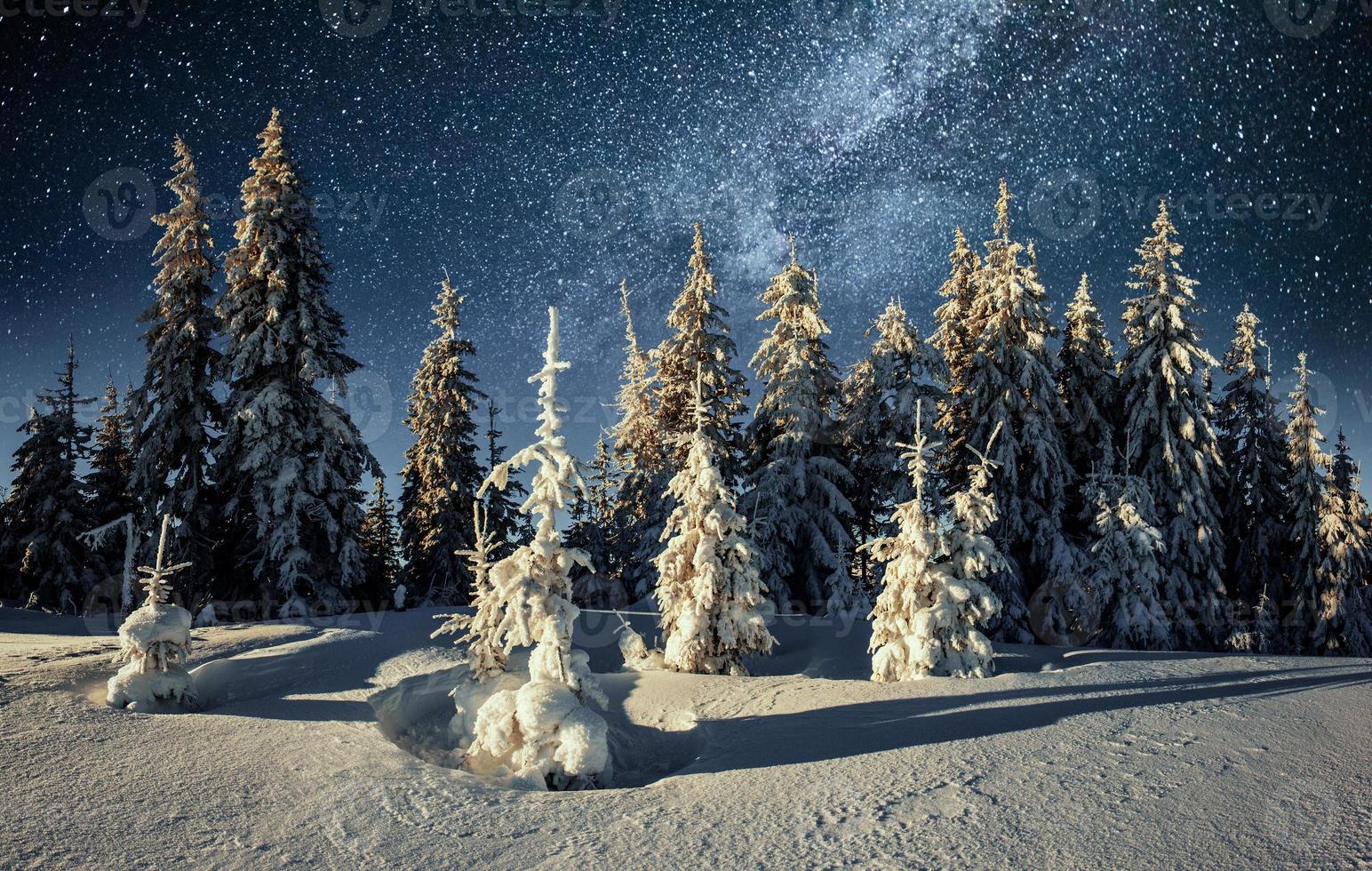 majestuoso paisaje con bosque en la noche de invierno con estrellas en el cielo. fondo de paisaje foto