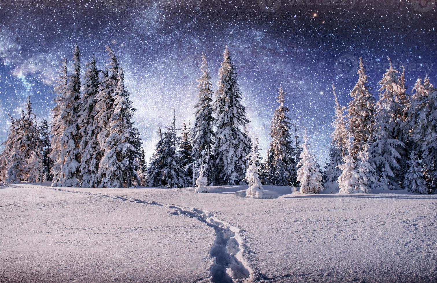 Majestic landscape with forest at winter time. Scenery background photo