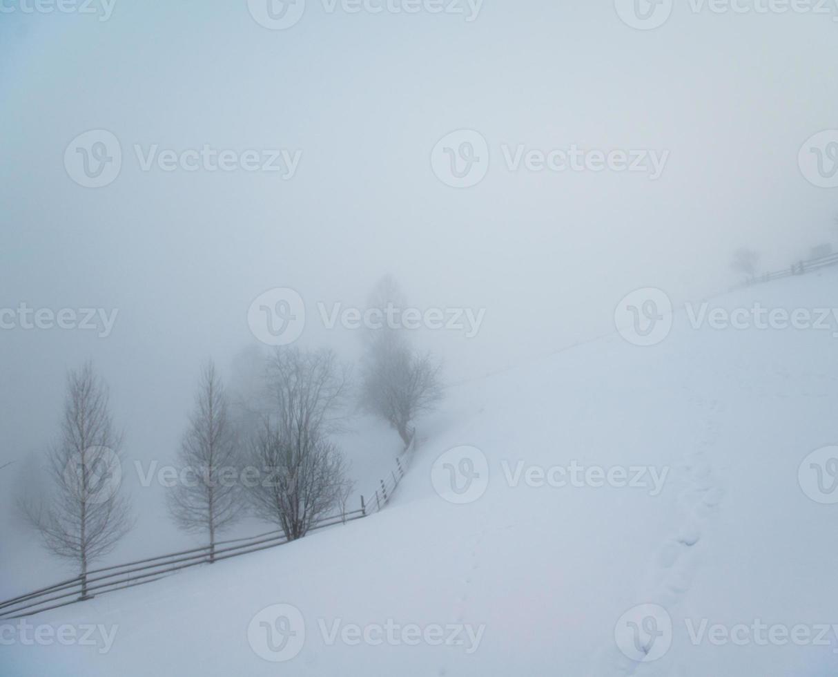 Beautiful winter landscape photo