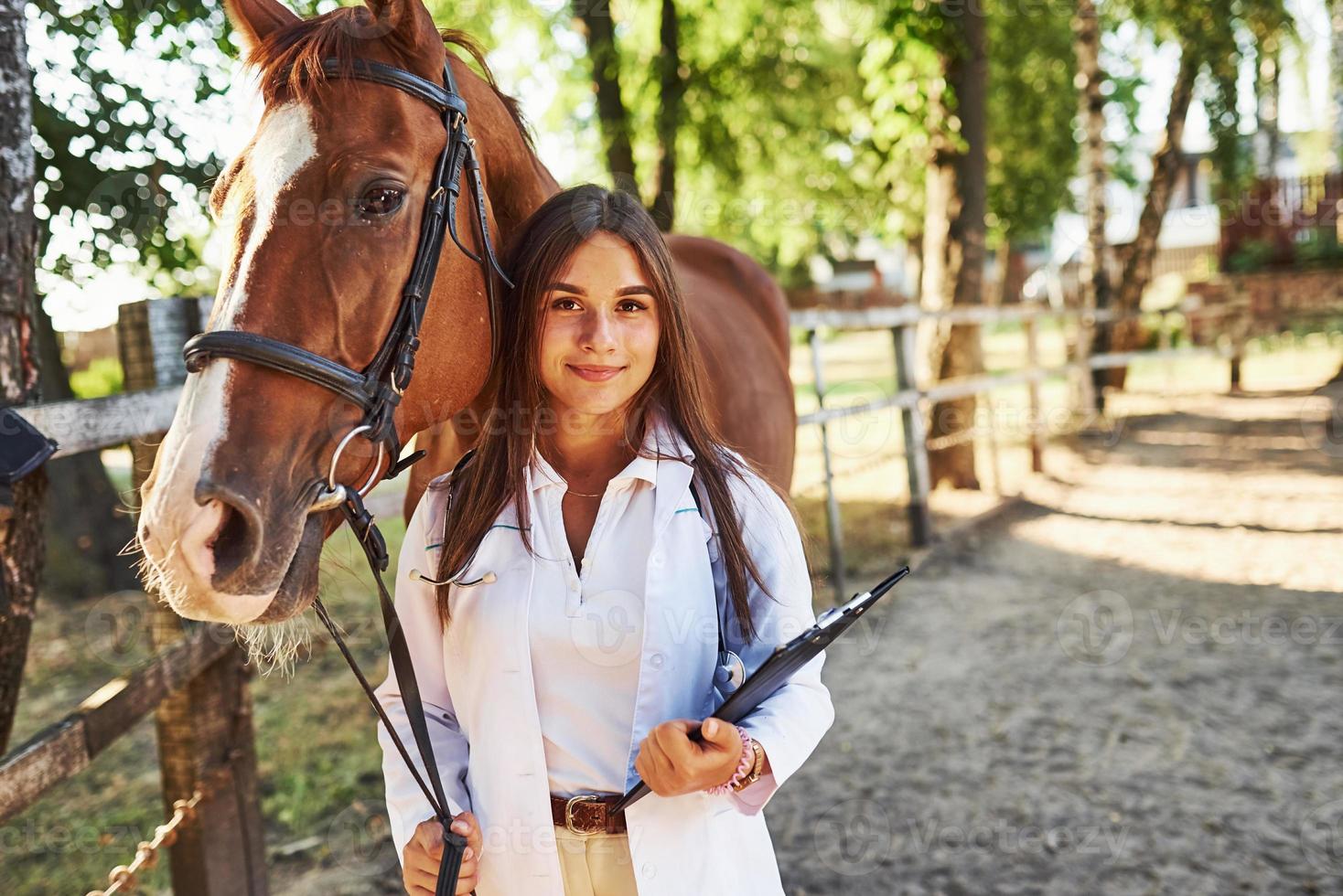 con bloc de notas en las manos. Veterinaria examinando caballos al aire libre en la granja durante el día foto