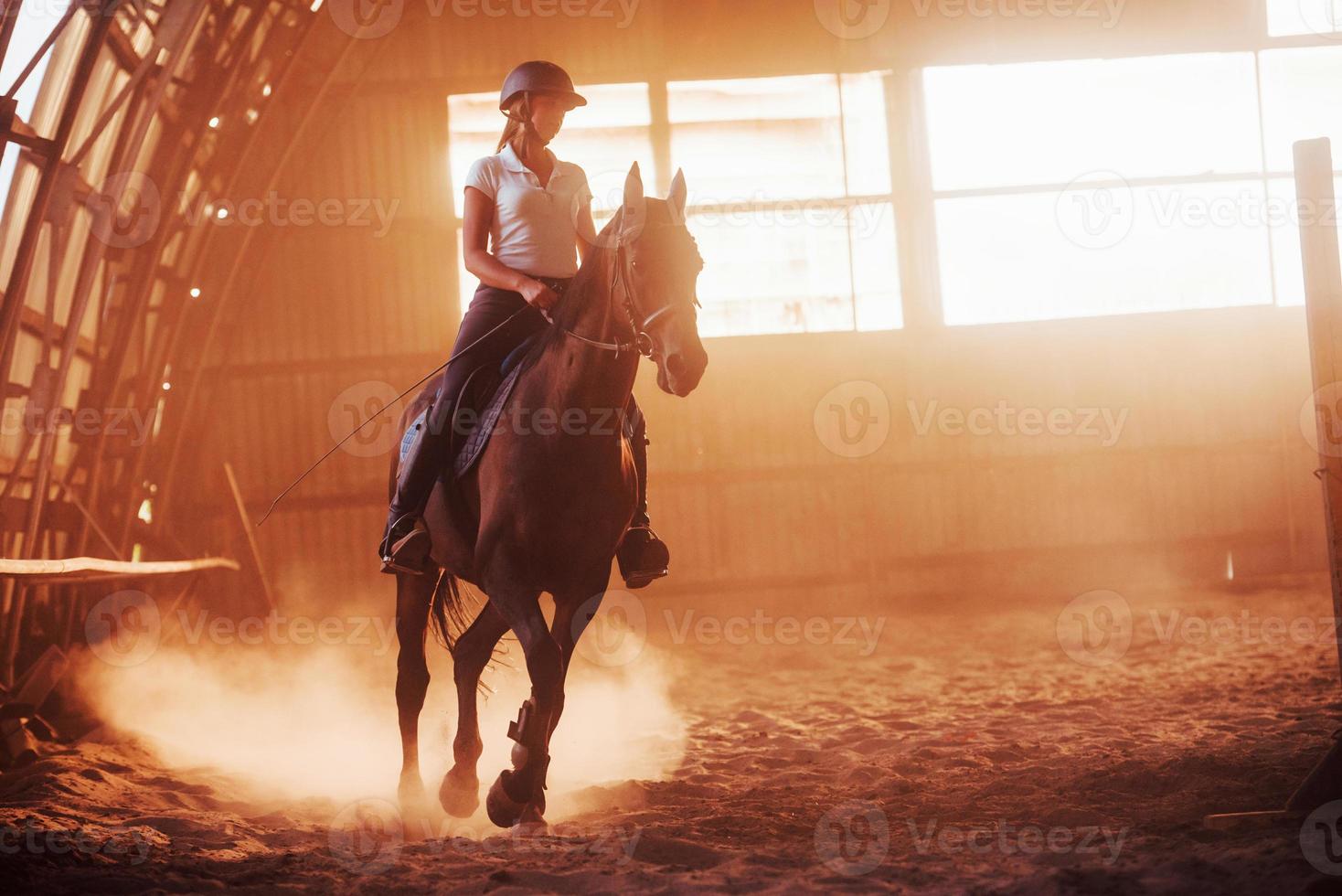 majestuosa imagen de silueta de caballo con jinete sobre fondo de puesta de sol. la chica jockey en la parte trasera de un semental monta en un hangar en una granja foto