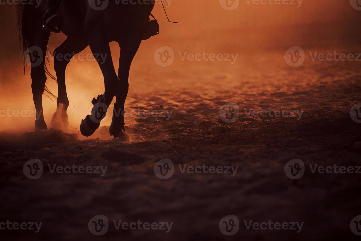 Majestic image of horse silhouette with rider on sunset background photo
