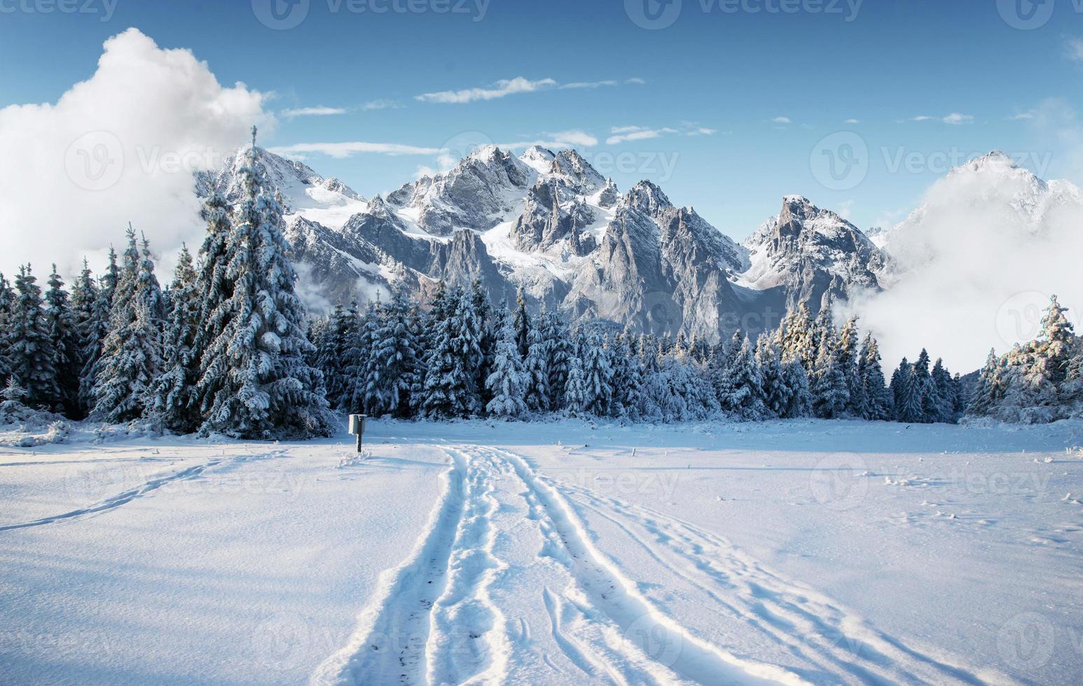 Majestic landscape with forest at winter time. Scenery background photo