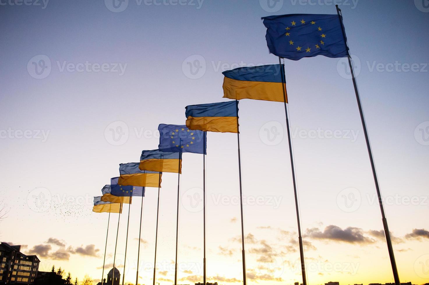 flags against the sky photo