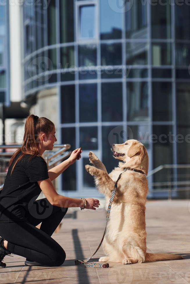 Young positive woman have fun and doing tricks with her dog when have a walk outdoors near business building photo