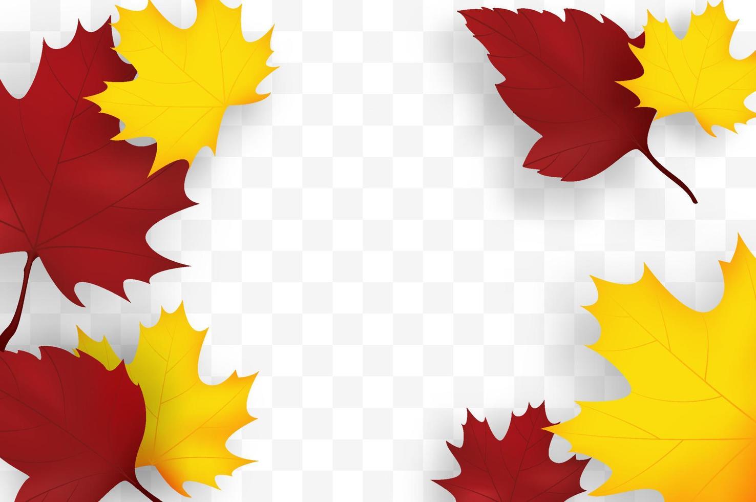 Autumn Falling Leaves vector