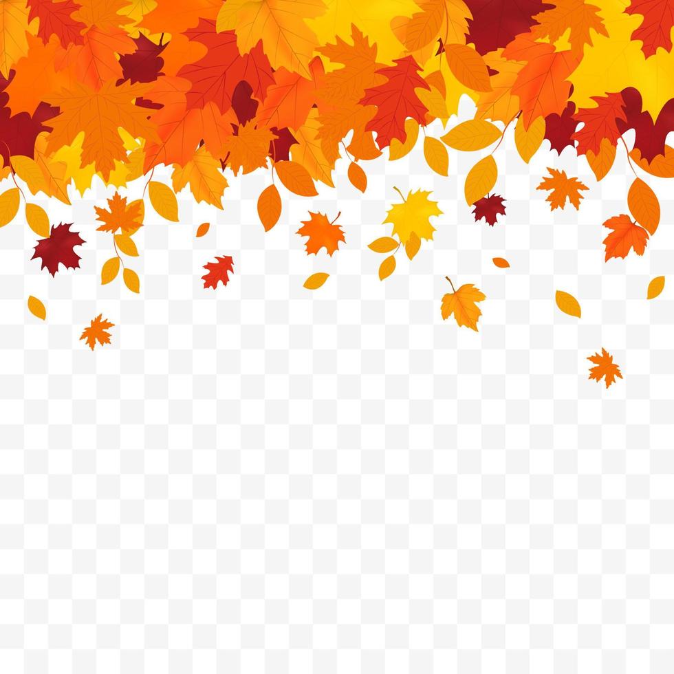 Autumn Falling Leaves Background vector