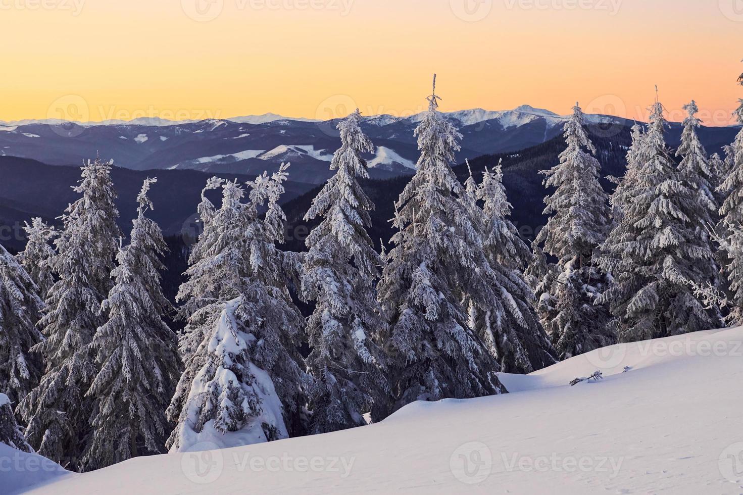 hermosas montañas majestuosas en el horizonte. mágico paisaje invernal con árboles cubiertos de nieve durante el día foto