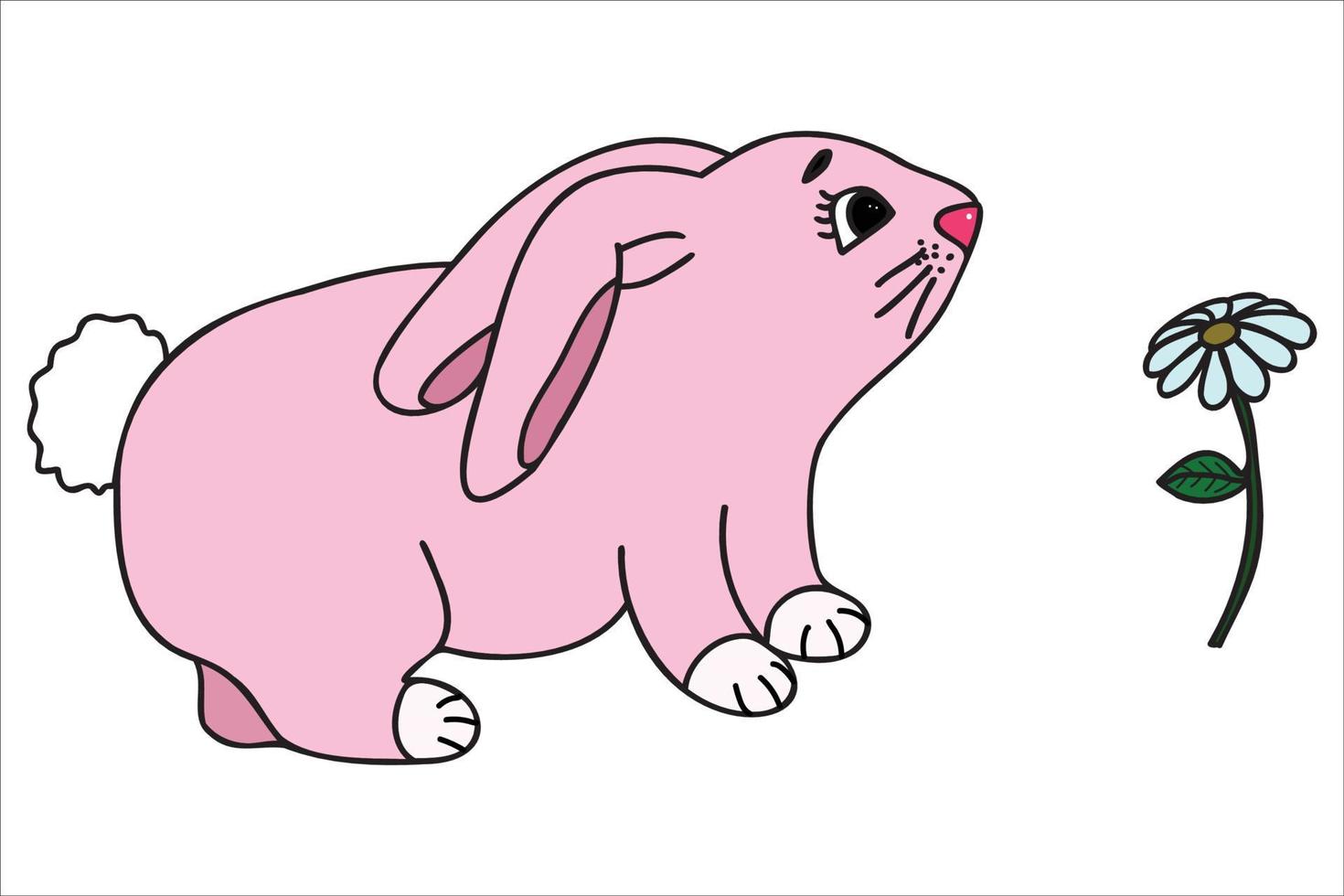 The picture shows a rabbit smelling a flower, it is intended for cards, March 8, Valentine, birthdays, clothing prints and can be used in various occasions. vector