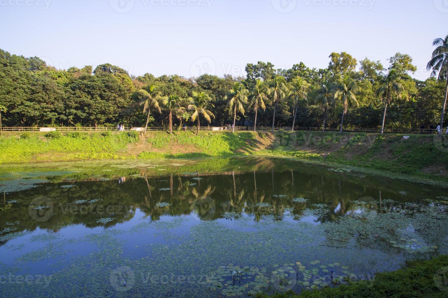 Natural landscape view Reflection of trees in the lake water against blue sky photo