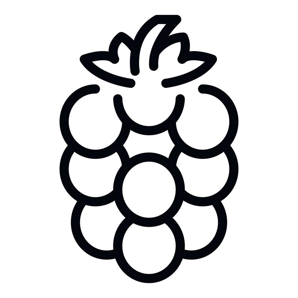 Dessert blackberry icon, outline style vector