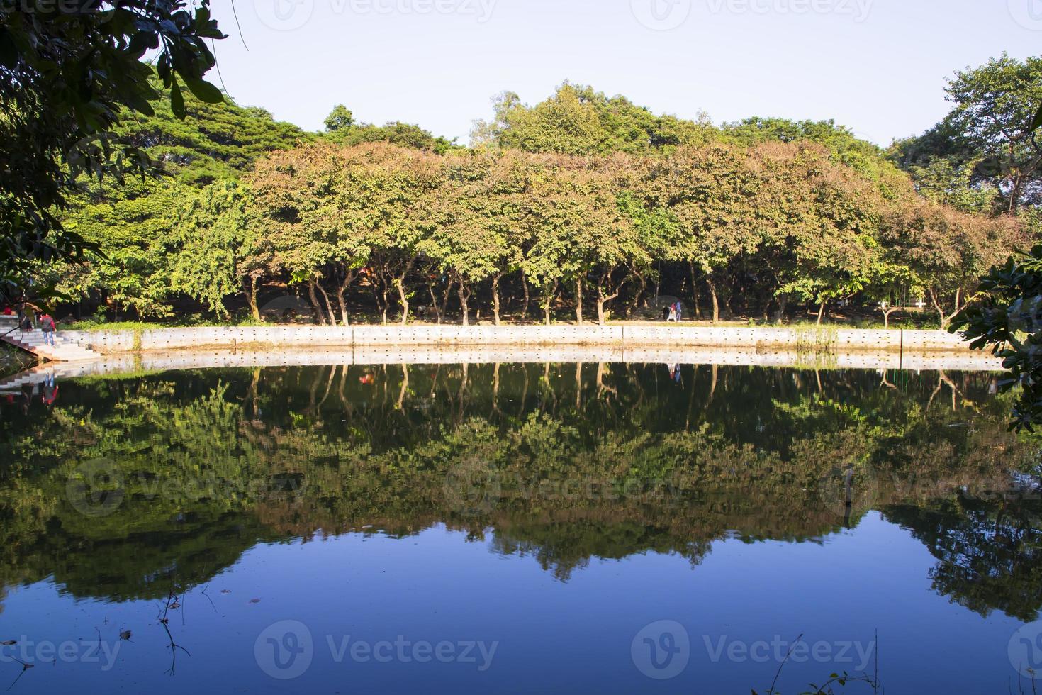 Natural landscape view Reflection of trees in the lake water against blue sky photo