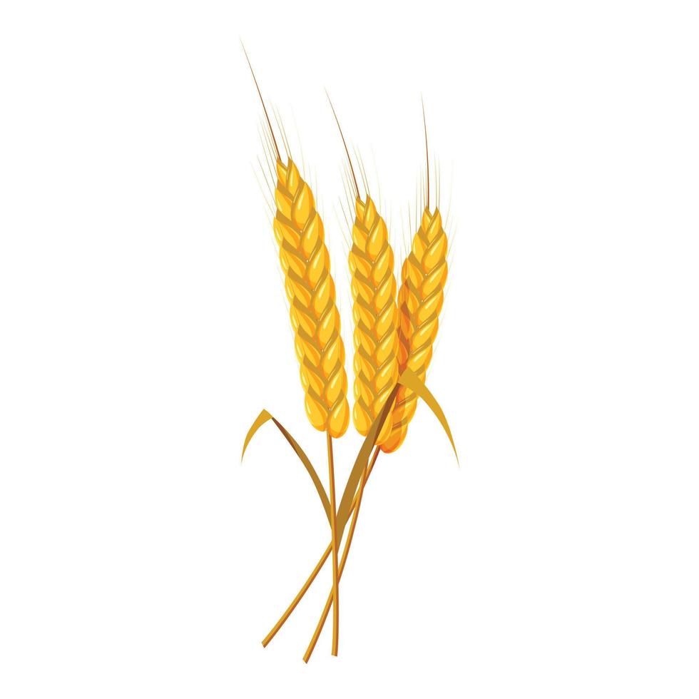 Three ears wheat ears bunch icon, cartoon style vector