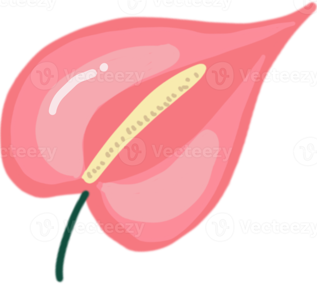 tropicale fiore e foglia illustrazioni png