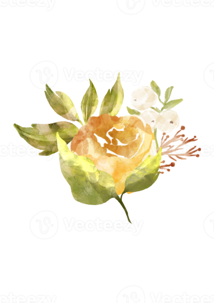 fleur bloemen waterverf illustratie png