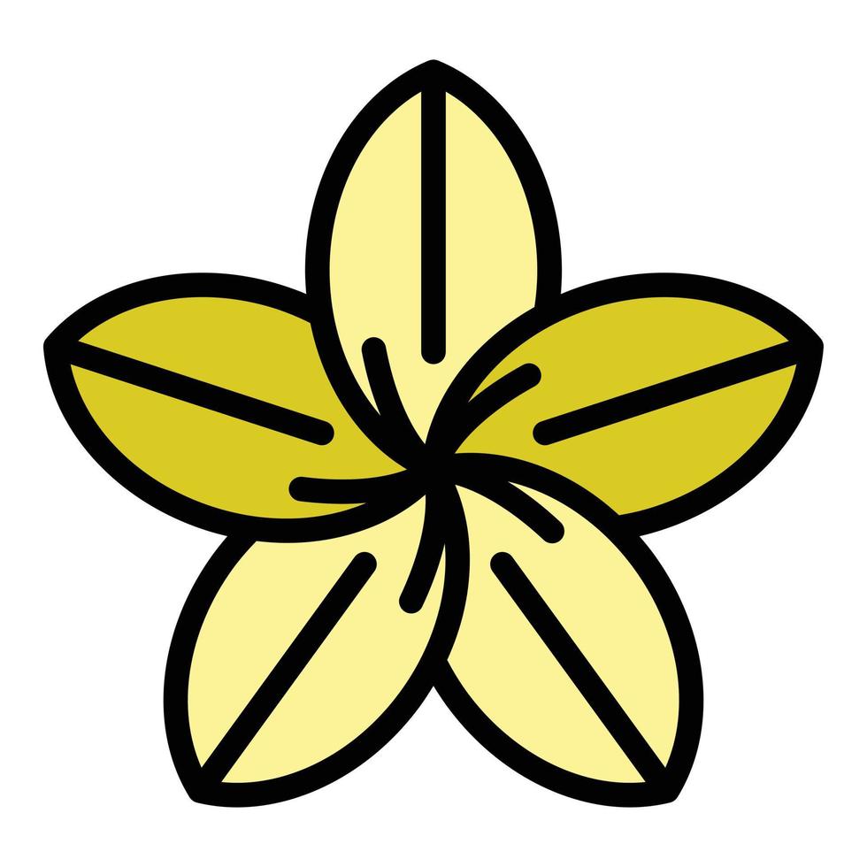 Plumeria tree icon color outline vector