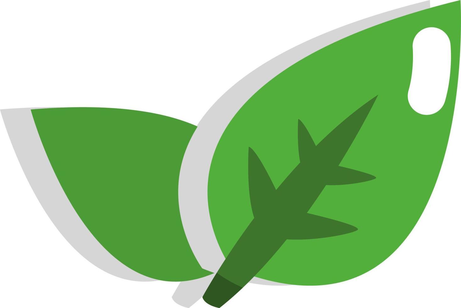 hojas de té verde, icono, vector sobre fondo blanco.