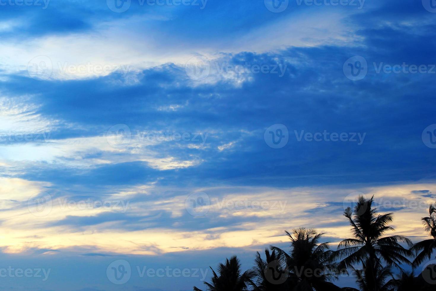 The colorful sky with palms tree at the sunset. Island Phi Phi, Thailand. photo