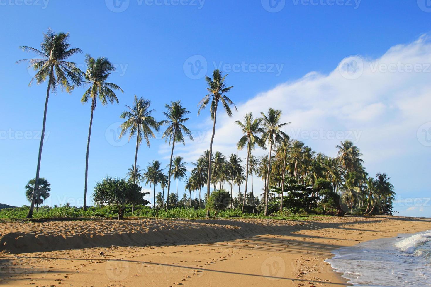 viajar a la isla de koh lanta, tailandia. la vista de la playa de arena con palmeras y mar azul. foto