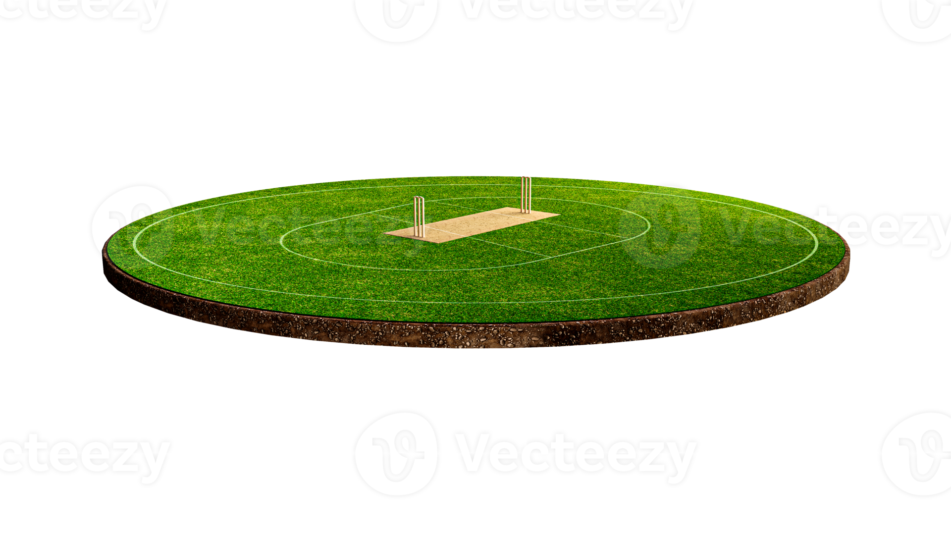 Cricket Stadium Front view on cricket pitch or ball sport game field, grass stadium or circle