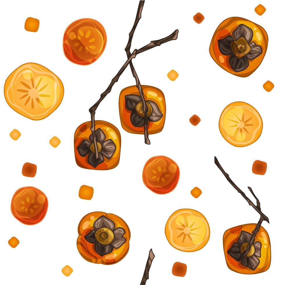 A pattern of painted persimmons, different varieties and angles. Persimmon on a branch. vector