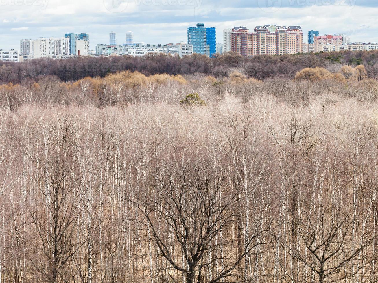 above view of bare trees in spring forest and city photo