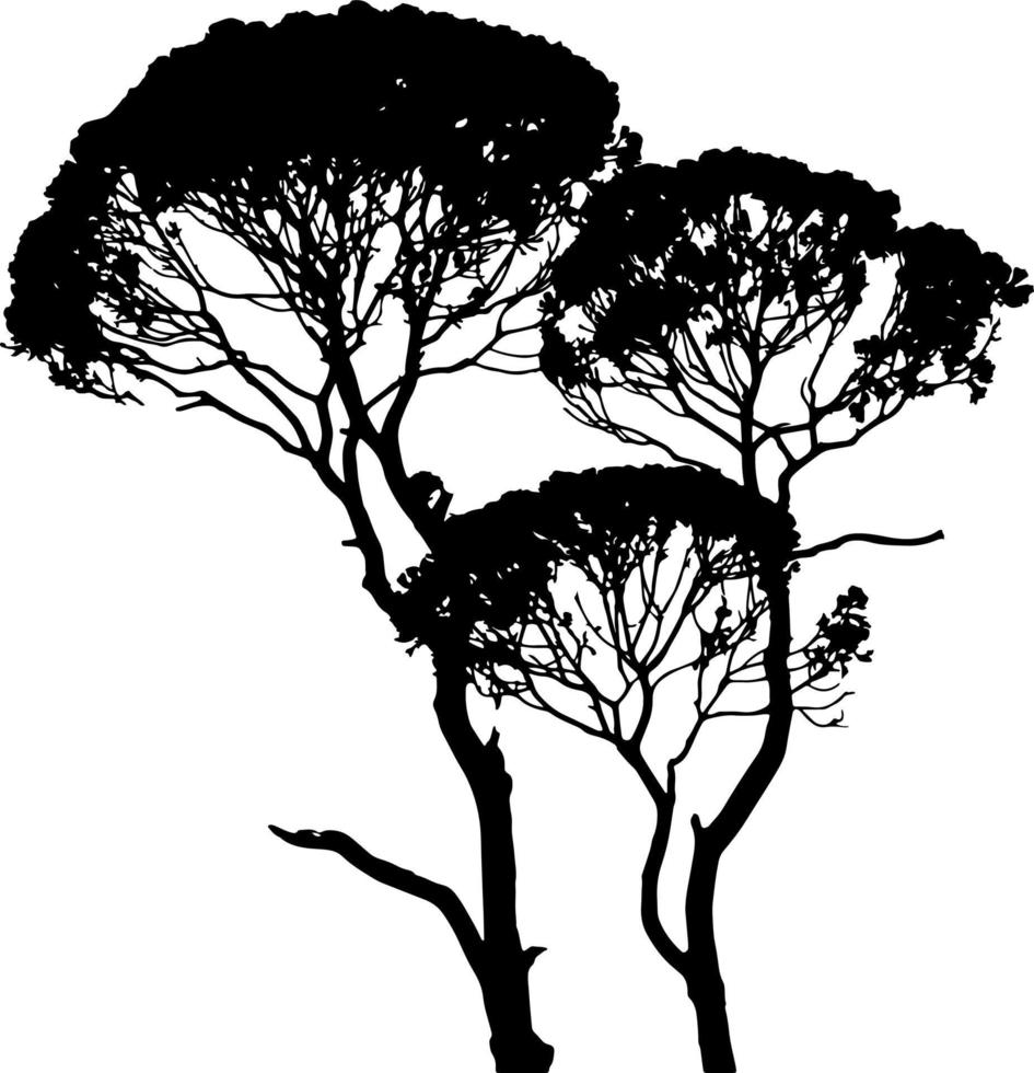 vector de silueta de árbol para el sitio web, para imprimir. gráficos vectoriales