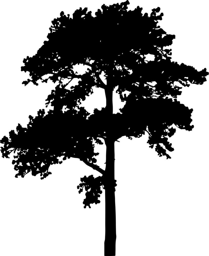 vector de silueta de árbol para el sitio web, para imprimir. gráficos vectoriales