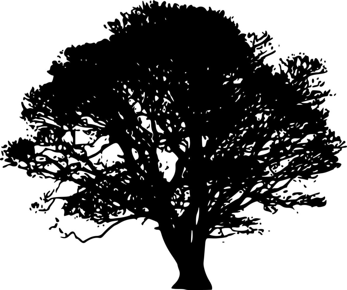 vector de silueta de árbol para el sitio web, para imprimir. gráficos vectoriales