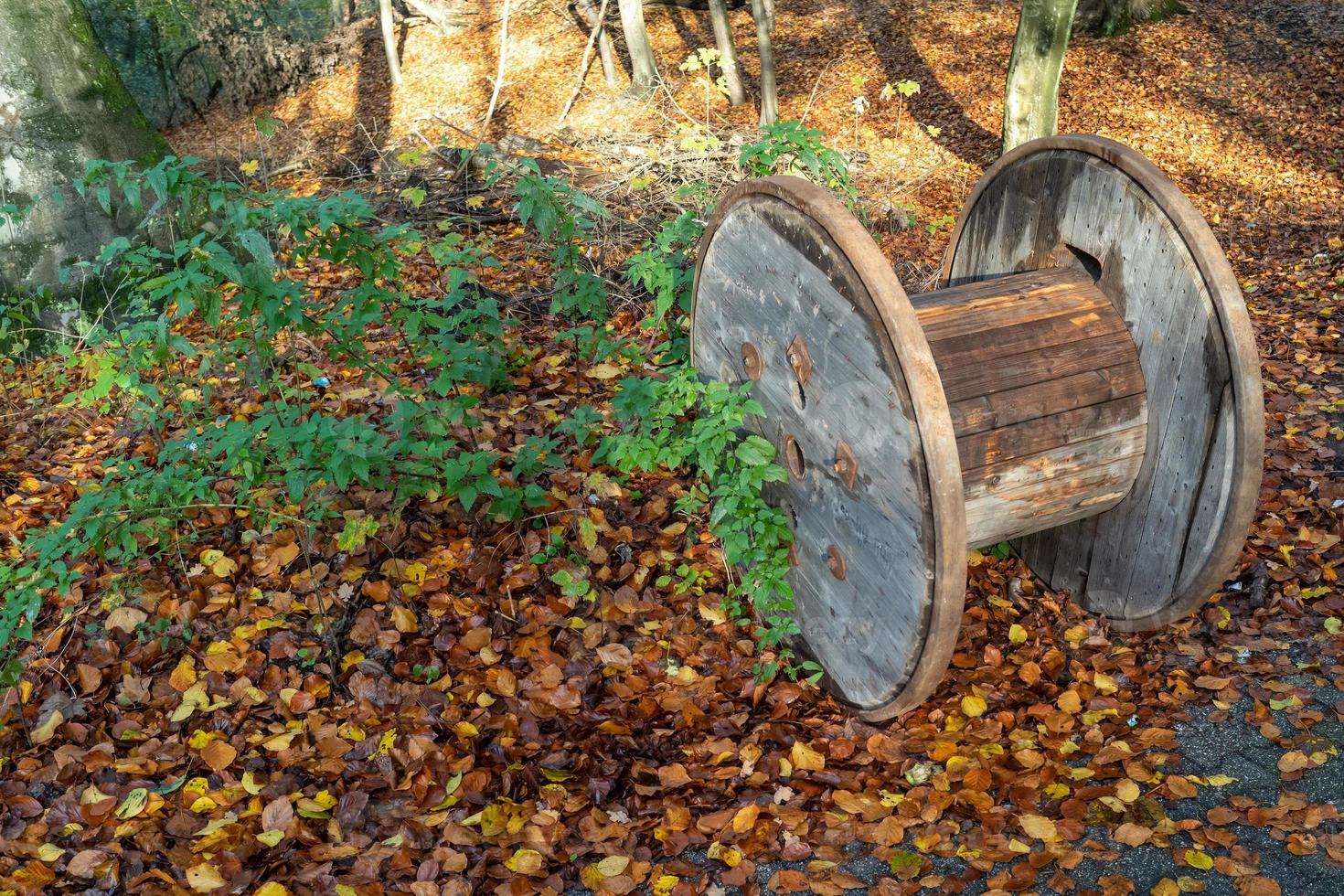 empty cable drum in the forest photo