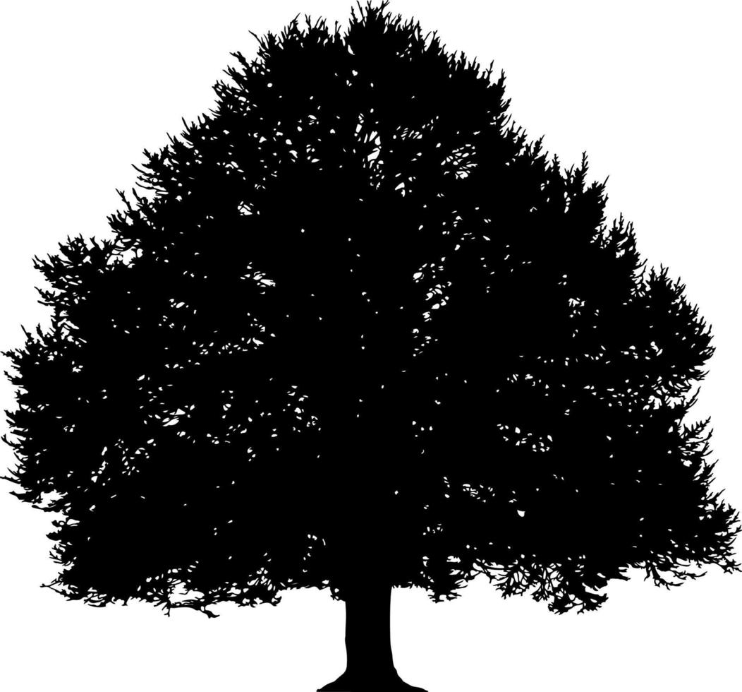 vector de silueta de árbol para el sitio web, para imprimir. gráficos vectoriales