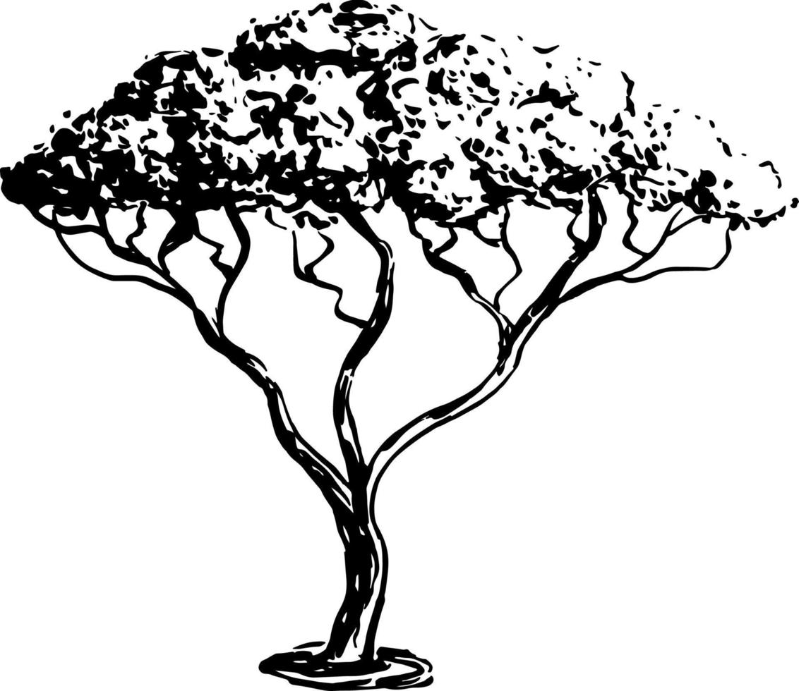 vector de silueta de árbol para el sitio web, para imprimir. gráficos vectoriales