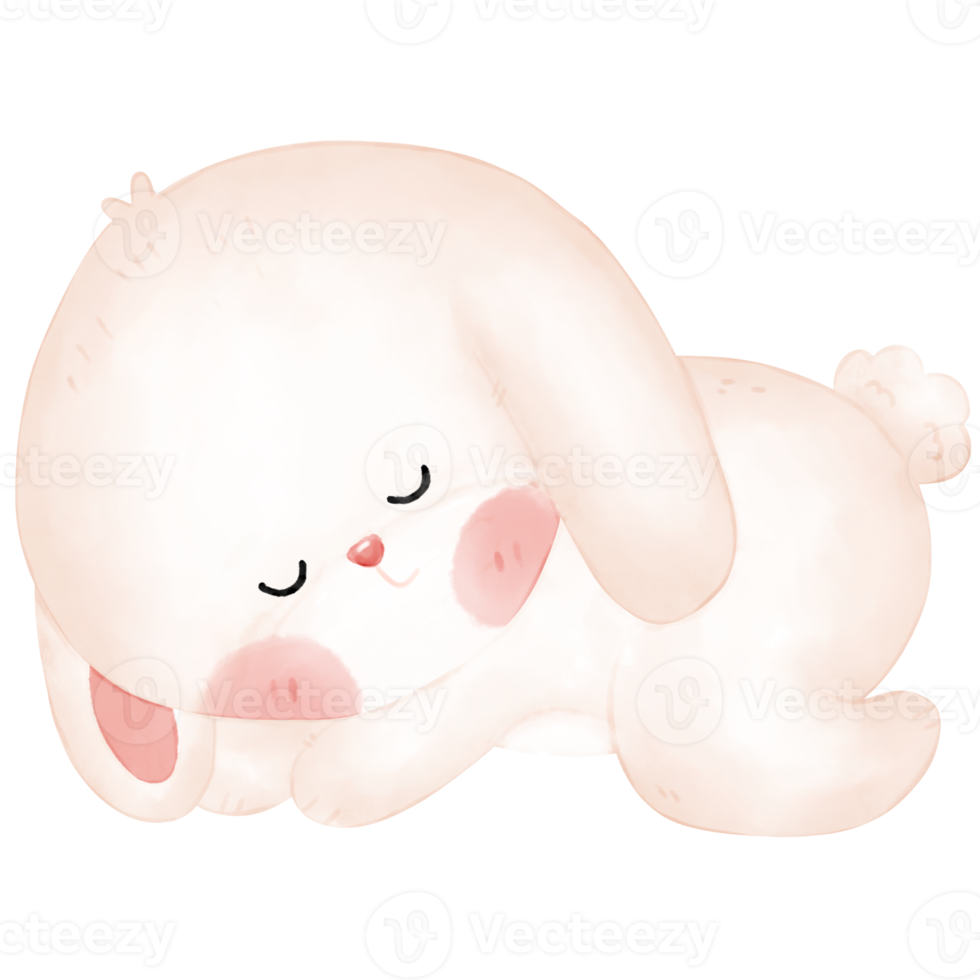 little bunny watercolor illustration png