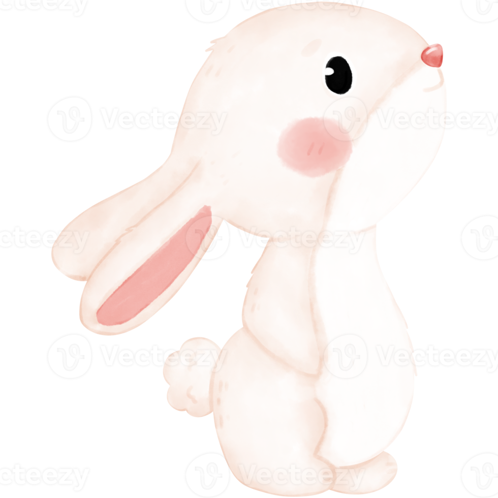 illustration aquarelle petit lapin png