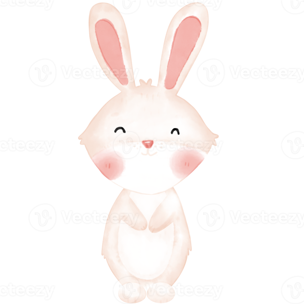 little bunny watercolor illustration png