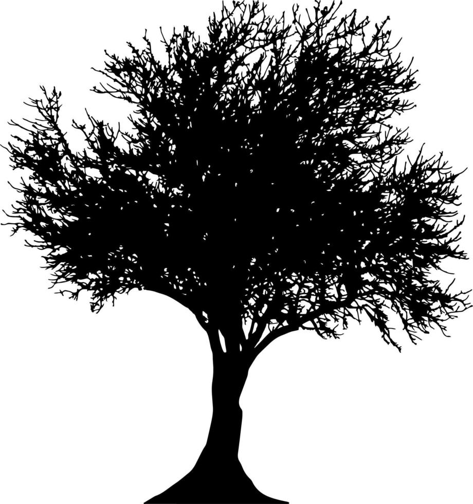 Tree silhouette vector for the website, for printing. Vector graphics.