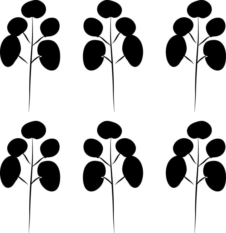 conjunto de siluetas negras de árboles de hojas tropicales. vector