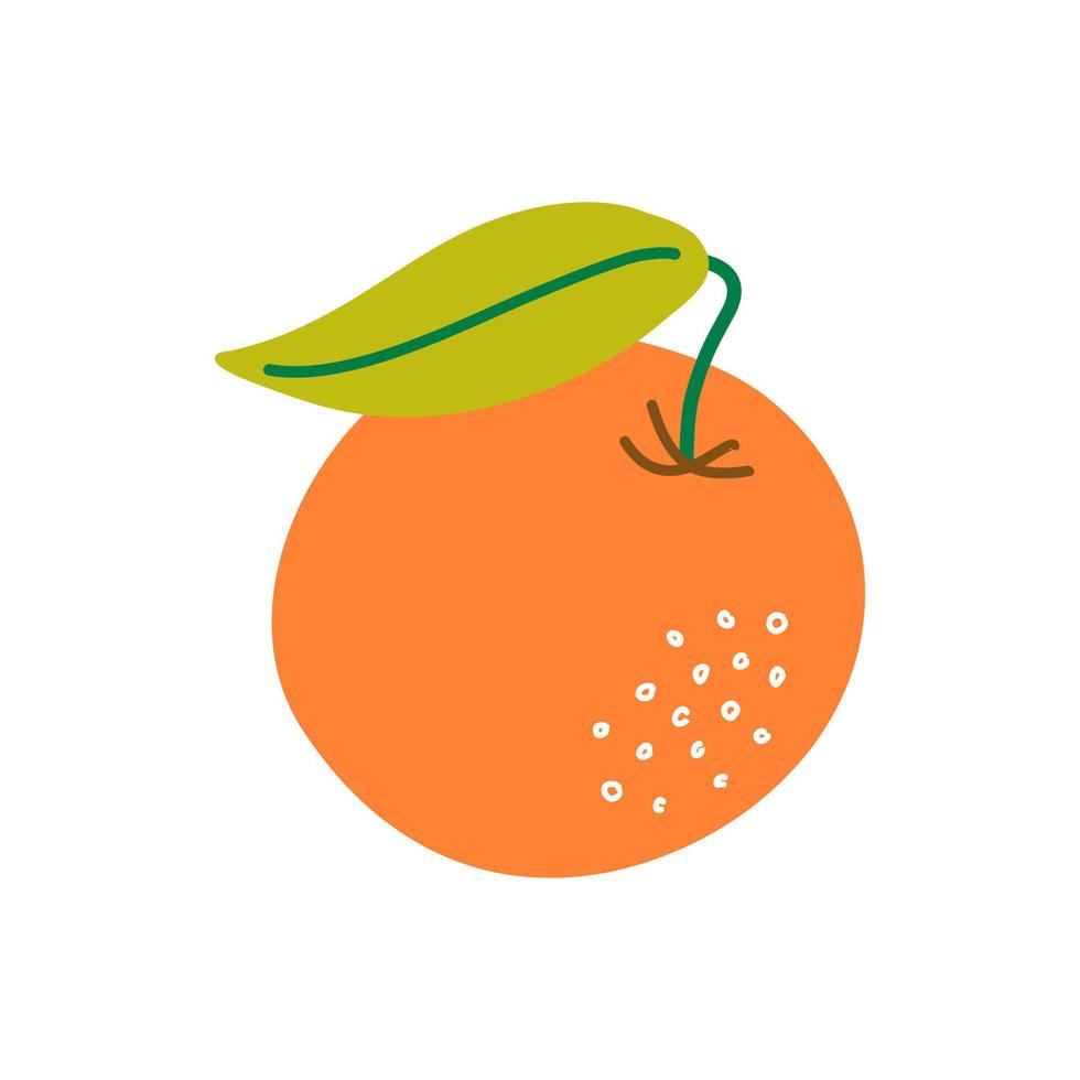 Vector illustration of fresh orange tangerine isolated on white. Healthy and juicy citrus exotic fruit. Simple hand drawn element.