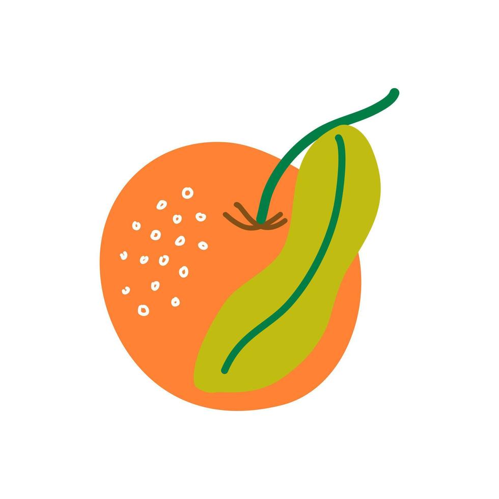 ilustración vectorial de mandarina naranja fresca aislada en blanco. frutas exóticas cítricas sanas y jugosas. elemento simple dibujado a mano. vector