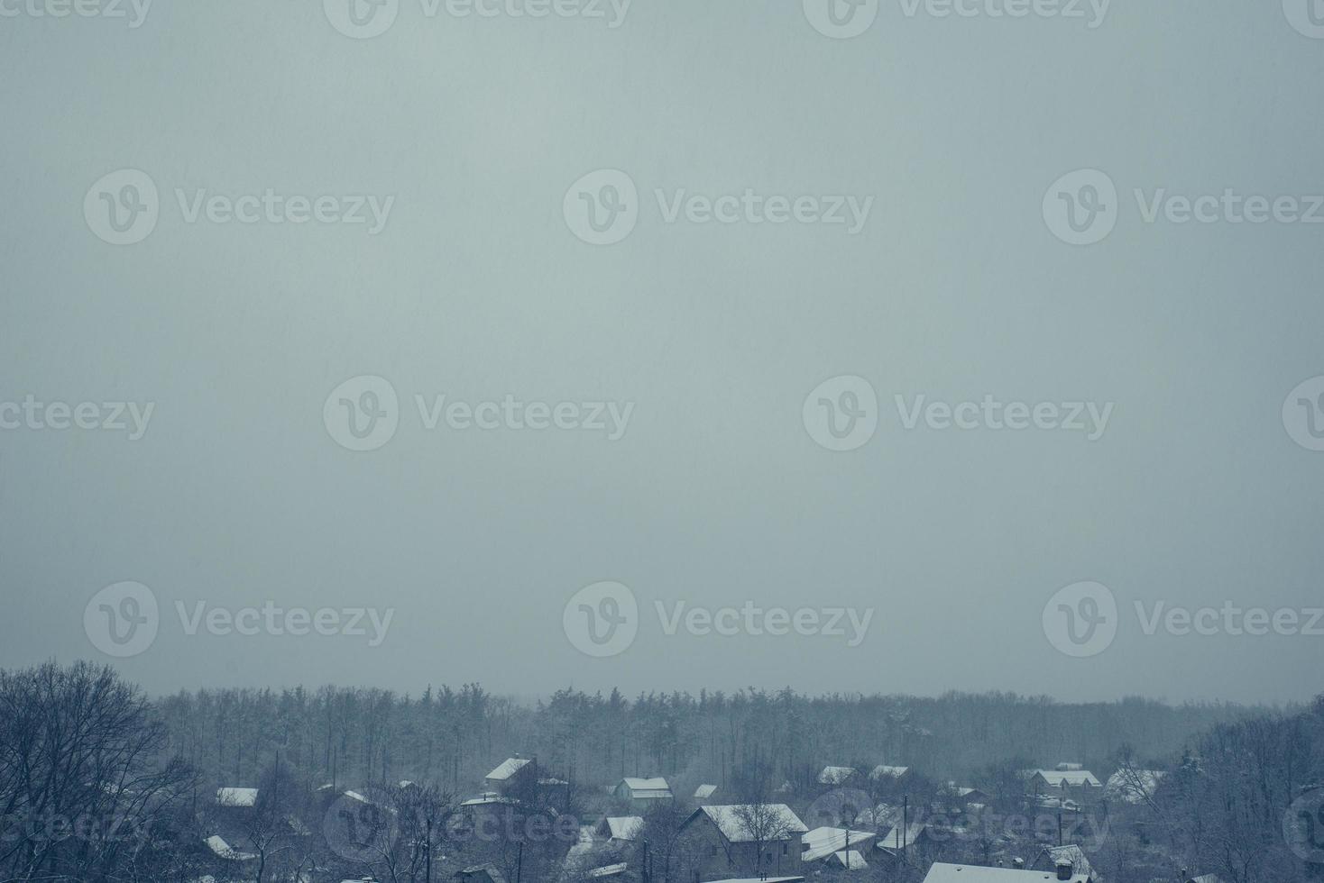 Misty landscape with fir forest in hipster vintage retro style photo