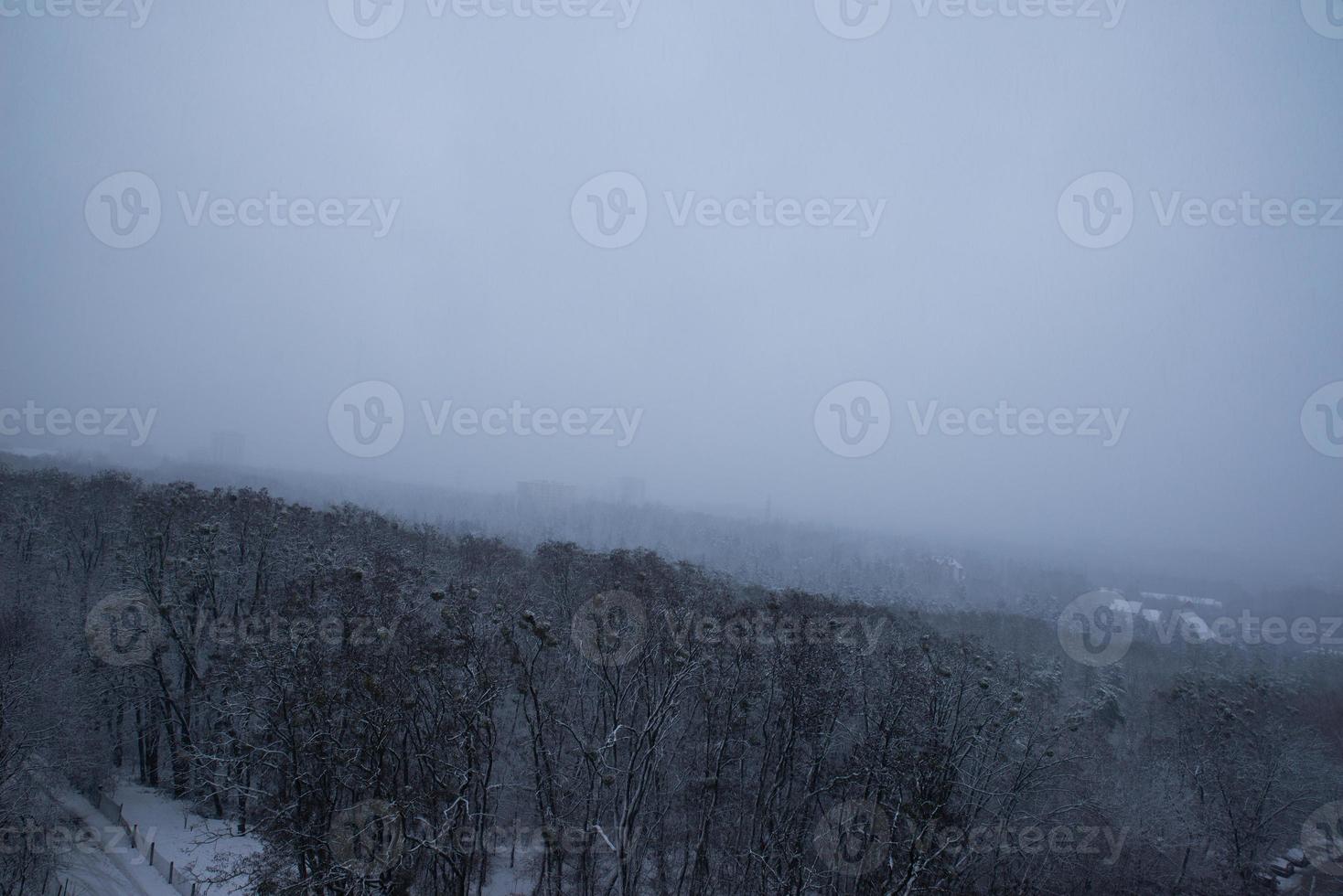 Misty landscape with fir forest in hipster vintage retro style photo