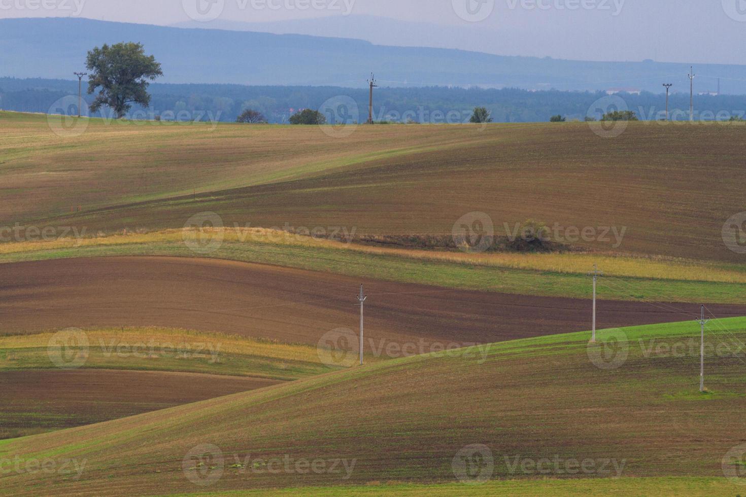 Autumn Landscape  in a Moravian Fields photo