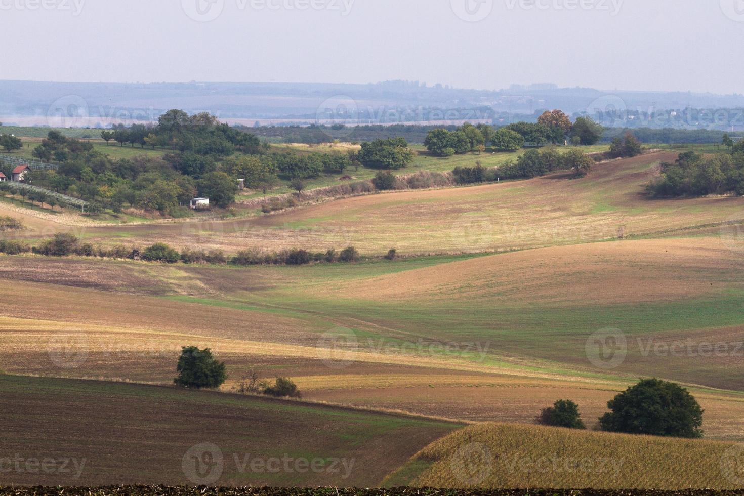 paisaje otoñal en los campos de moravia foto