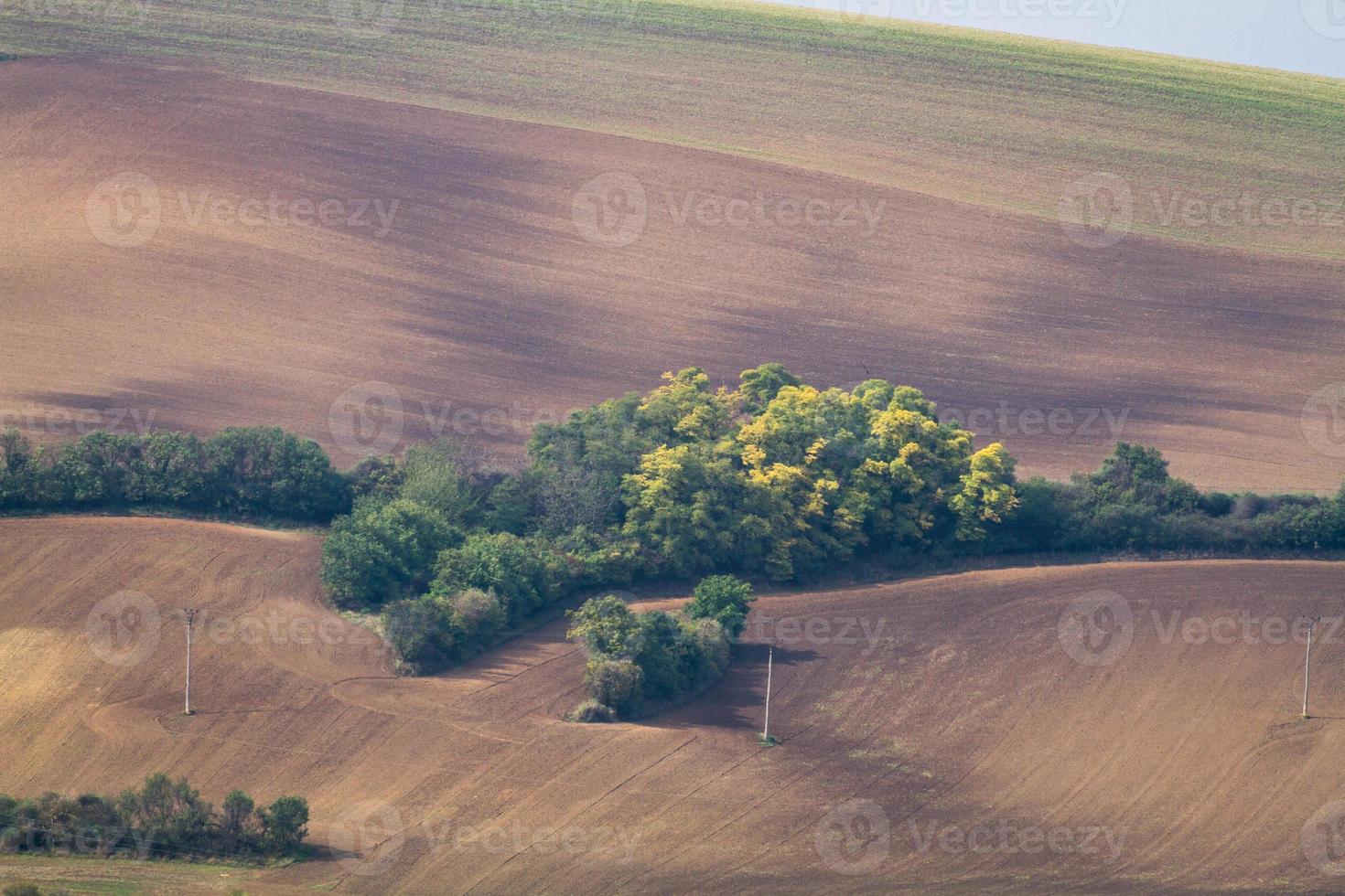 paisaje otoñal en los campos de moravia foto